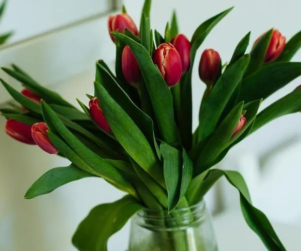 Frida アパート *